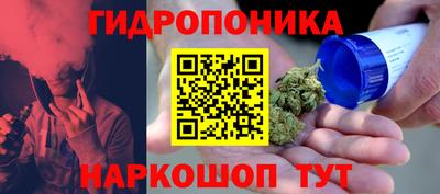 скорость Гусев