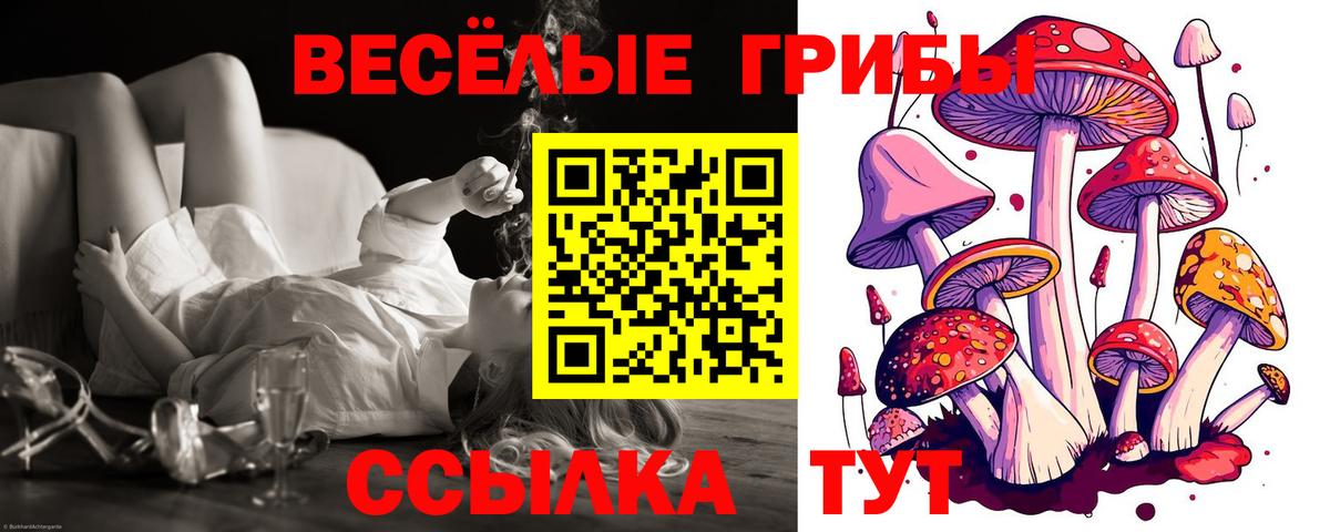 Галлюциногенные грибы мицелий  Псилоцибиновые грибы Psilocybe  Вход с VPN  Дзержинск 