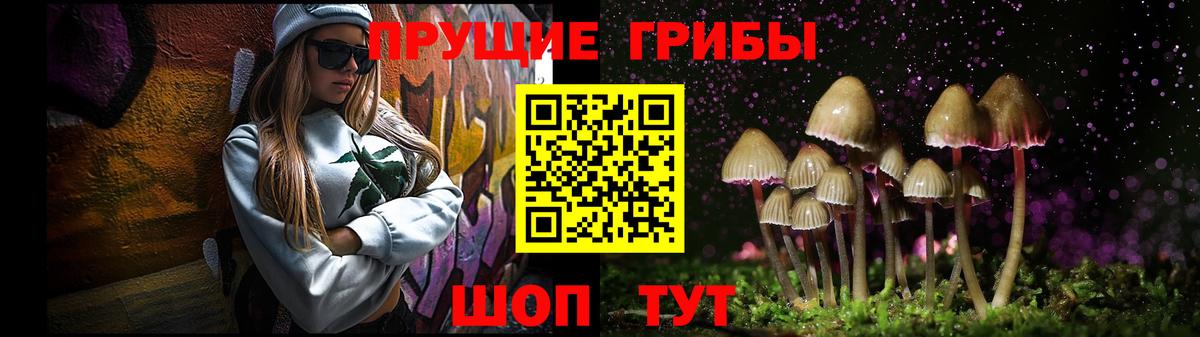 Галлюциногенные грибы Psilocybe Дзержинск